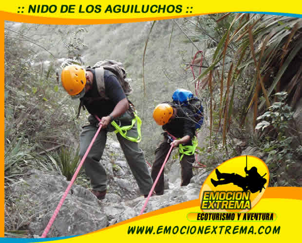 EL NIDO DE LOS AGUILUCHOS ES UN ENORME HOYO QUE ATRAVIESA LA MONTAÑA EN EL PAQUE LA HAUSTECA, LA MISION ES CAMINAR, TREPAR, ESCALAR POR LA ARISTA DE LA MONTAÑA, ESTAR SOBRE LA CUEVA, PARA ENTRAR Y BAJAR A RAPEL EN CAIDA LIBRE Y SALIR OTROS 3 RAPELES. WWW.EMOCIONEXTREMA.COM